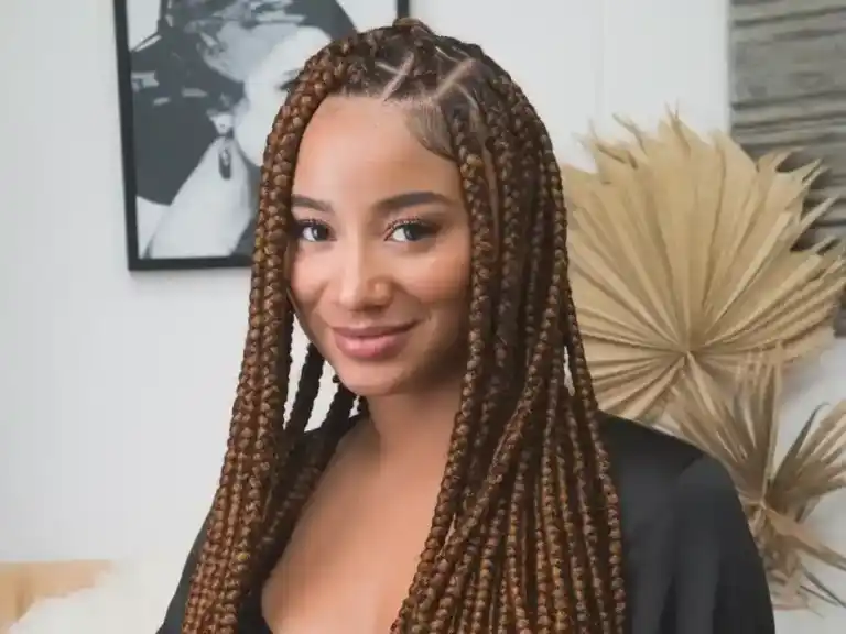 Braids Hairstyle - an african american-woman with long Braids